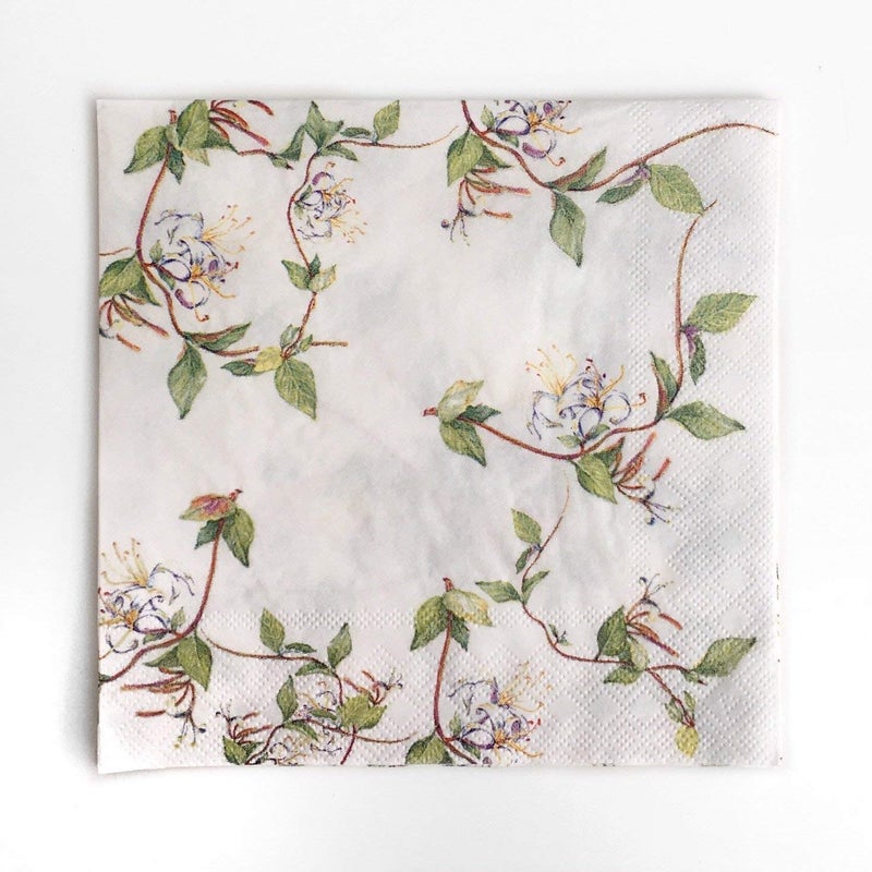 Zelten Colored Paper Napkins (Retro Vine) - Image 1